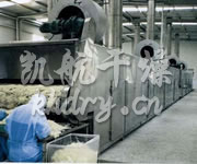 DWC系列脫水蔬菜帶式干燥機(jī)